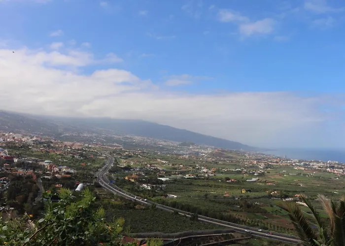 Marques Del Toscal * لوس رياليخوس